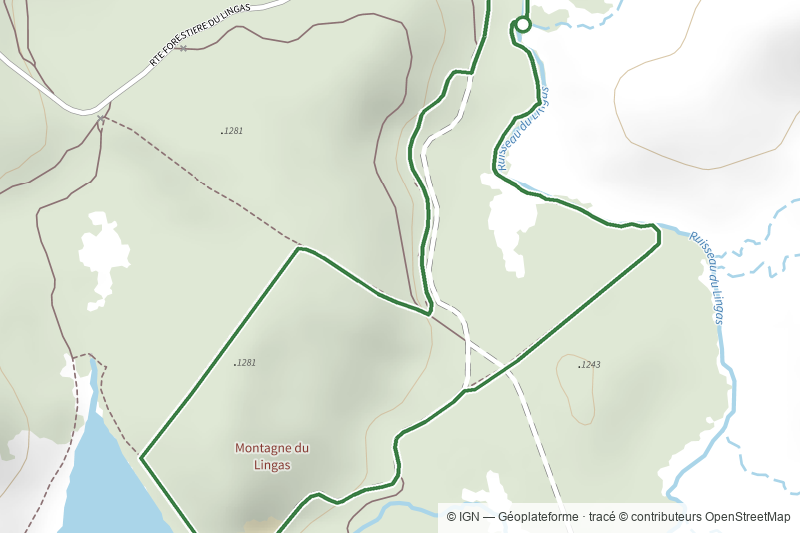 La forêt du Lingas