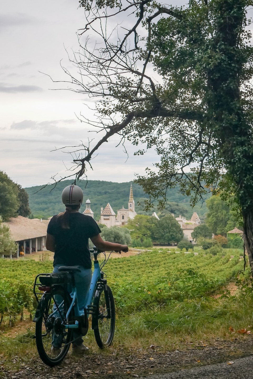 Boucle cyclo-découverte la Chartreuse de Valbonne