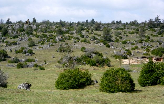 Le Causse de Campestre