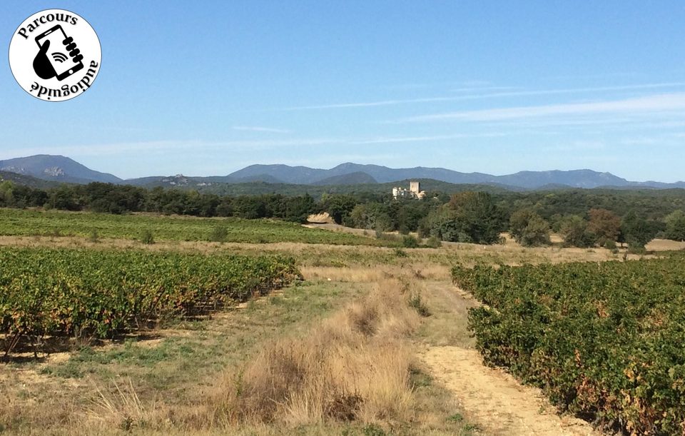 Parcours VTT De Bois en Vignes