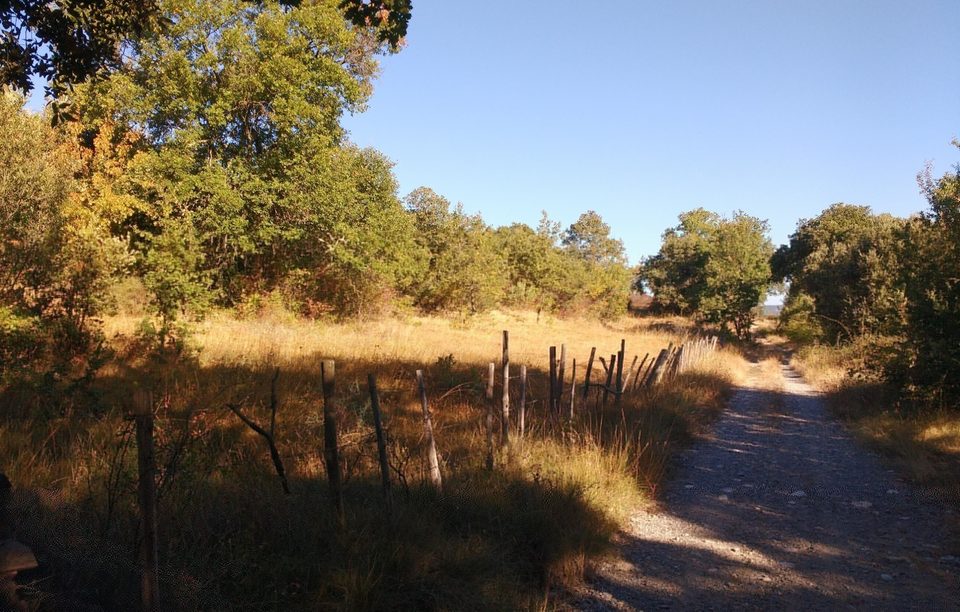 Chemin en Piémont