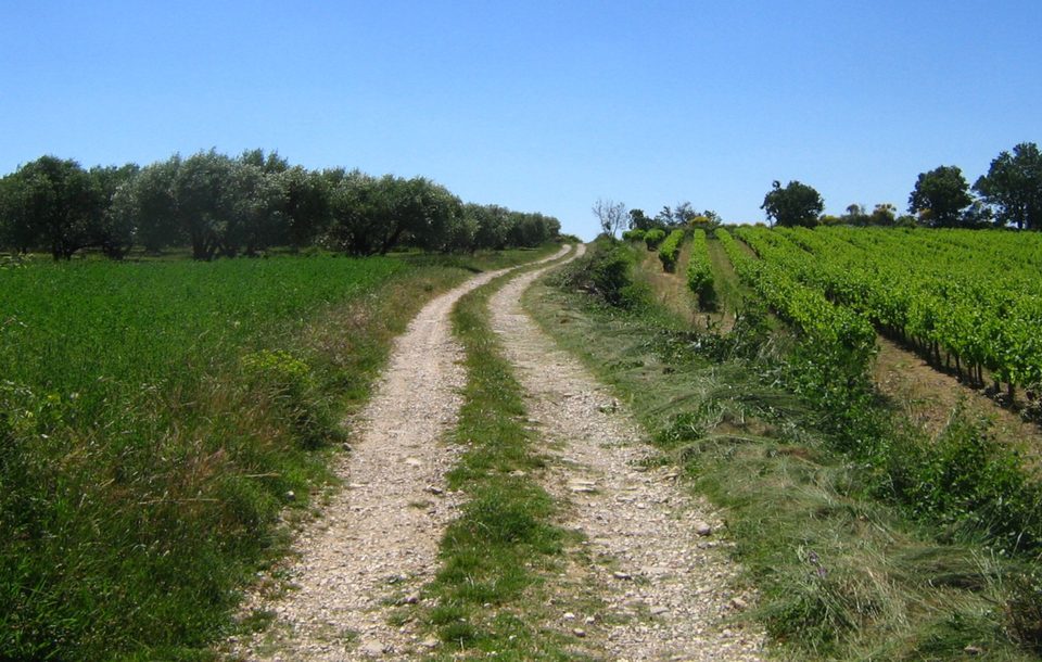 Chemin sur Vézénobres