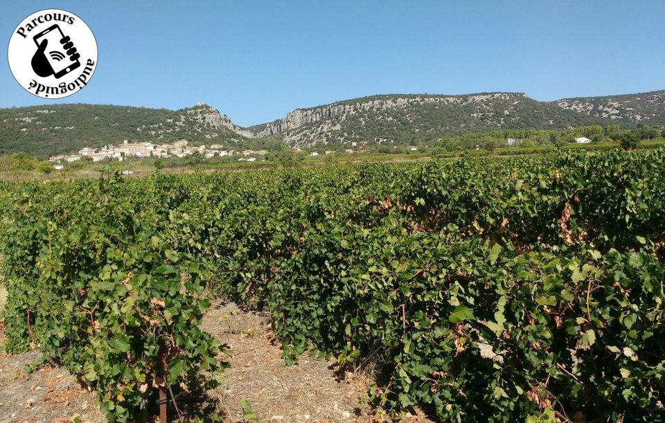Parcours VTT La Gravette, entre vigne et garrigue