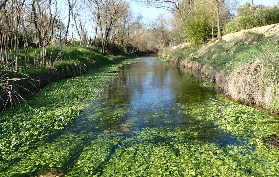 Ruisseau de Quiquilhan (Saint-Clément)