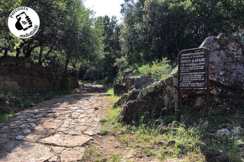 Randonnée Le chemin de Masmolène