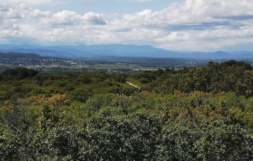Vue sur le Mont Lozère