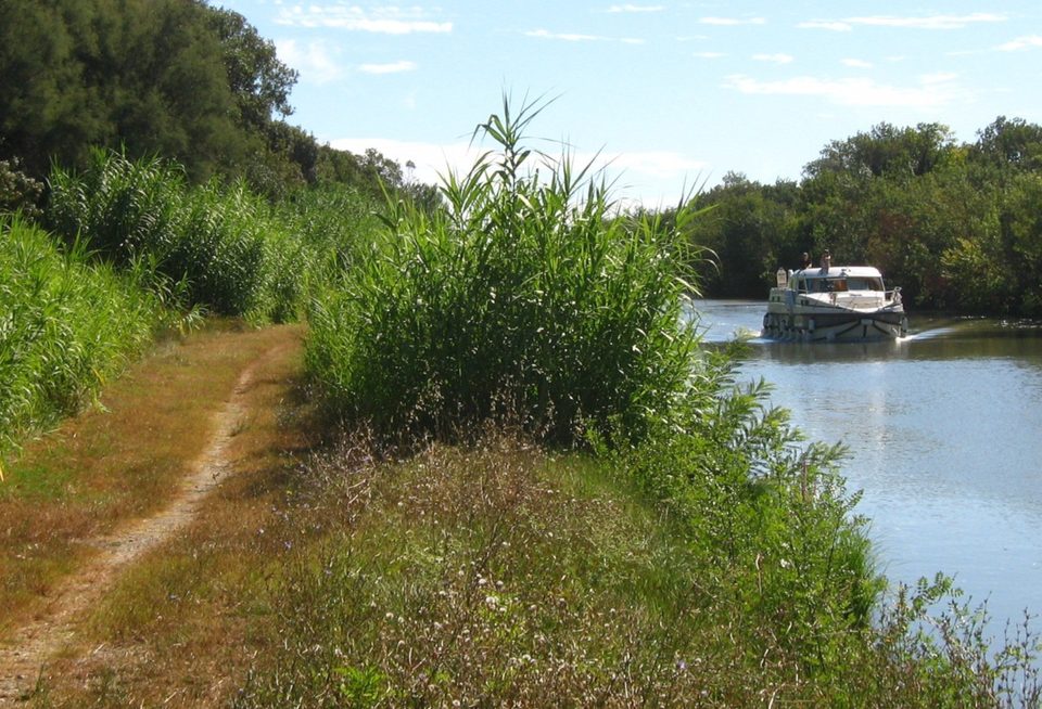 Canal du Rhône à Sète