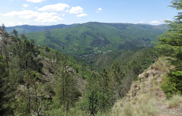 Serre de Tarnon