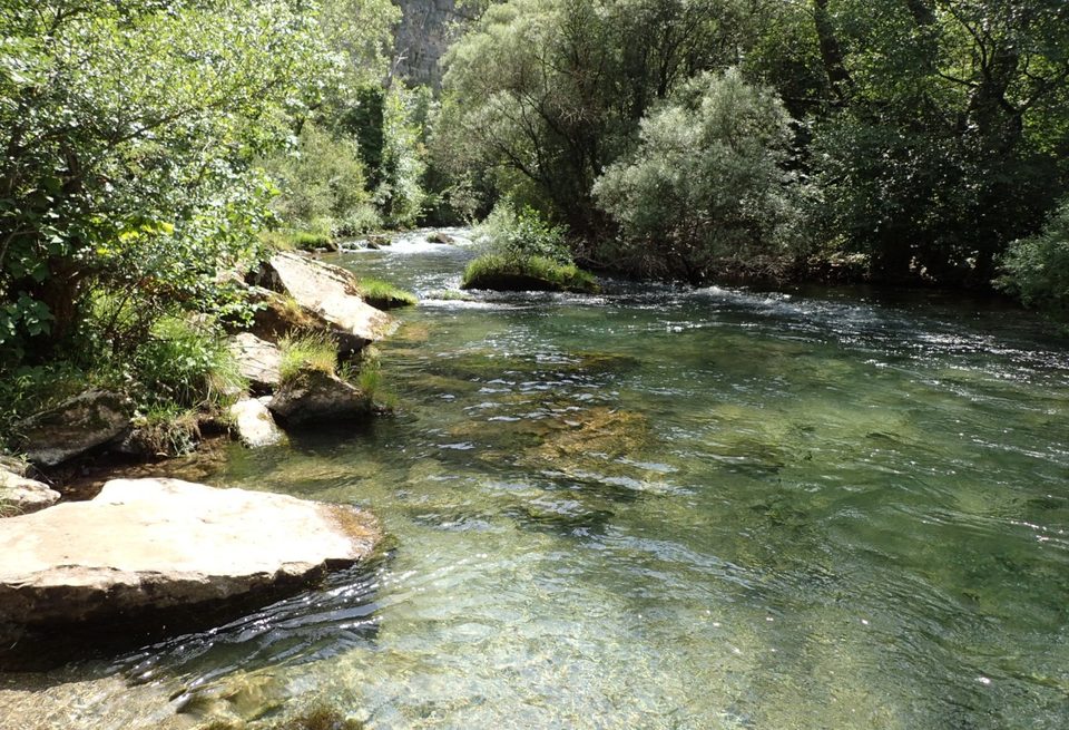 La Vis