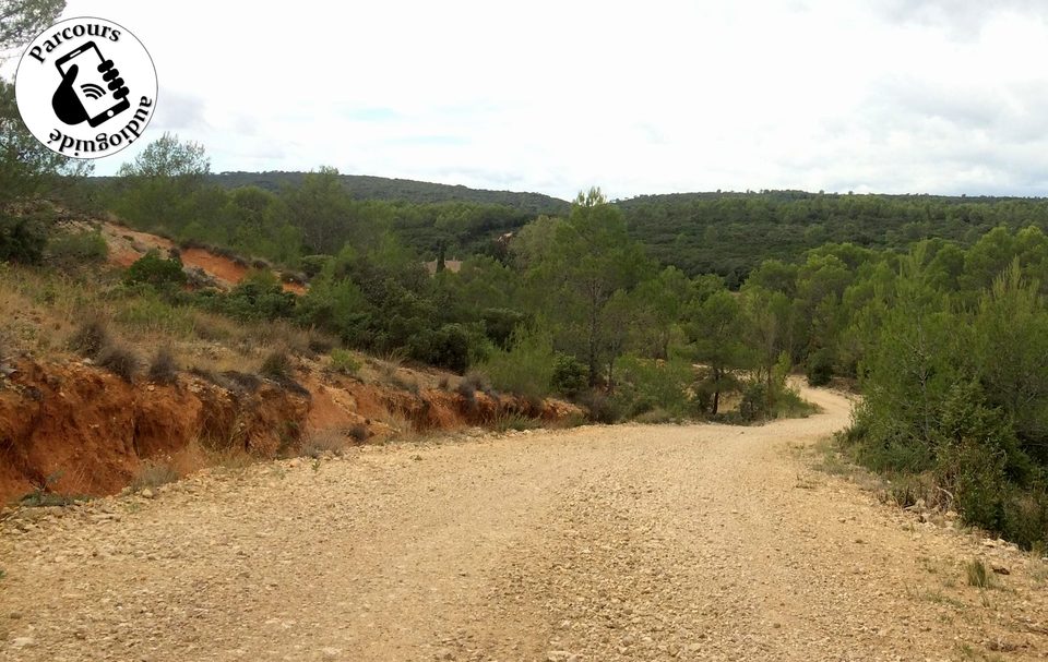 Trail Le Vallon de Robiac