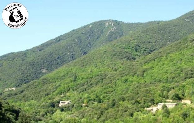 Trail du Menhir du Col de Bès