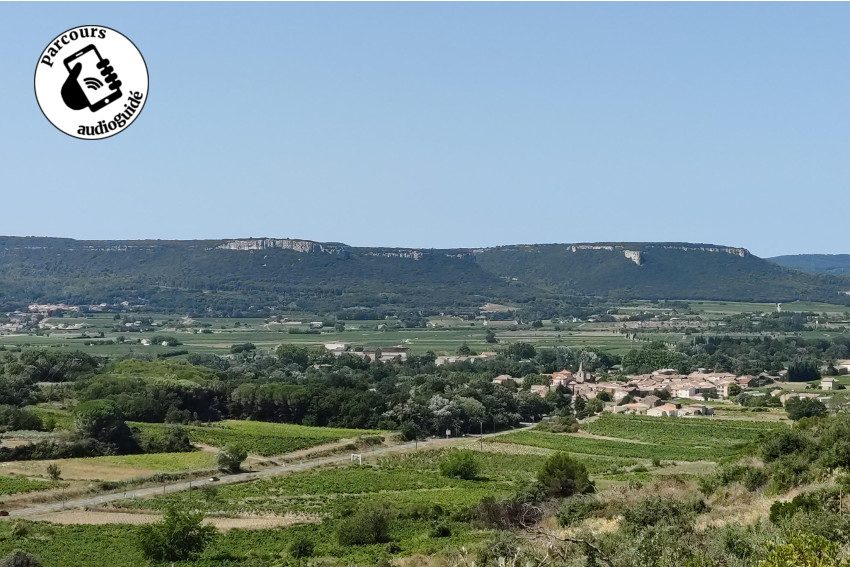 Randonnée sur le terroir des Côtes du Rhônes