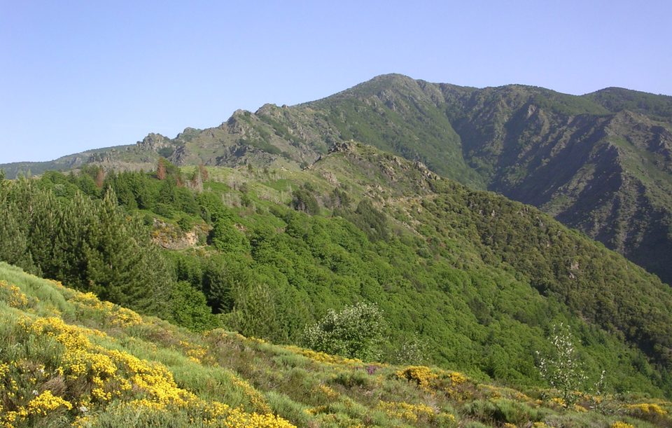 Sentier des 4000 marches