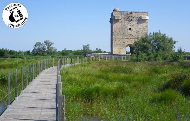 Parcours VTT Terre de Camargue