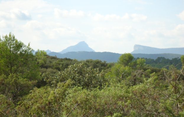 La plaine de Coutach