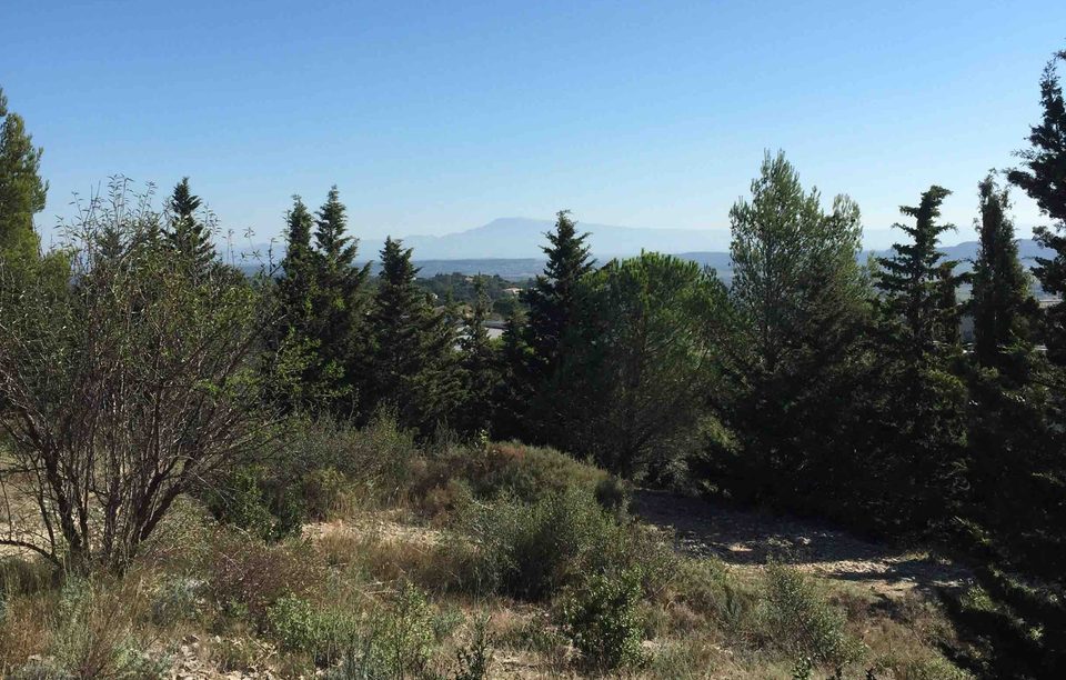 Vue sur le Mont Ventoux