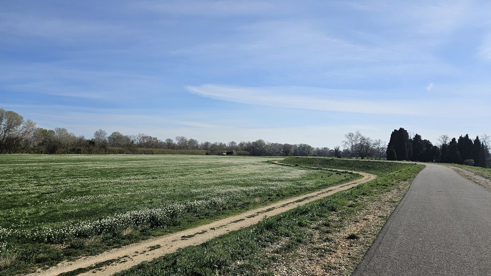 Voie verte Beaucaire Fourques