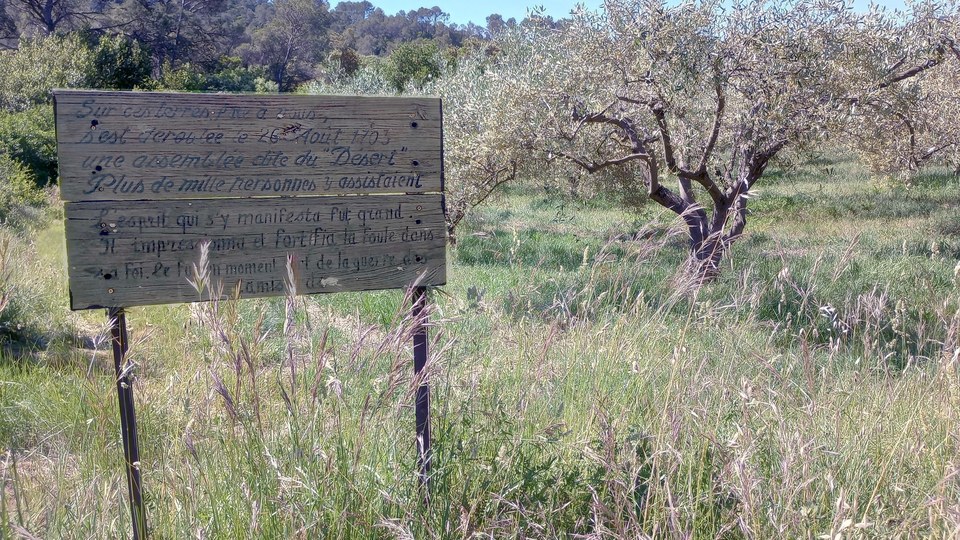 Parcours VTT: Autour des bois du ruisseau de Courmelle