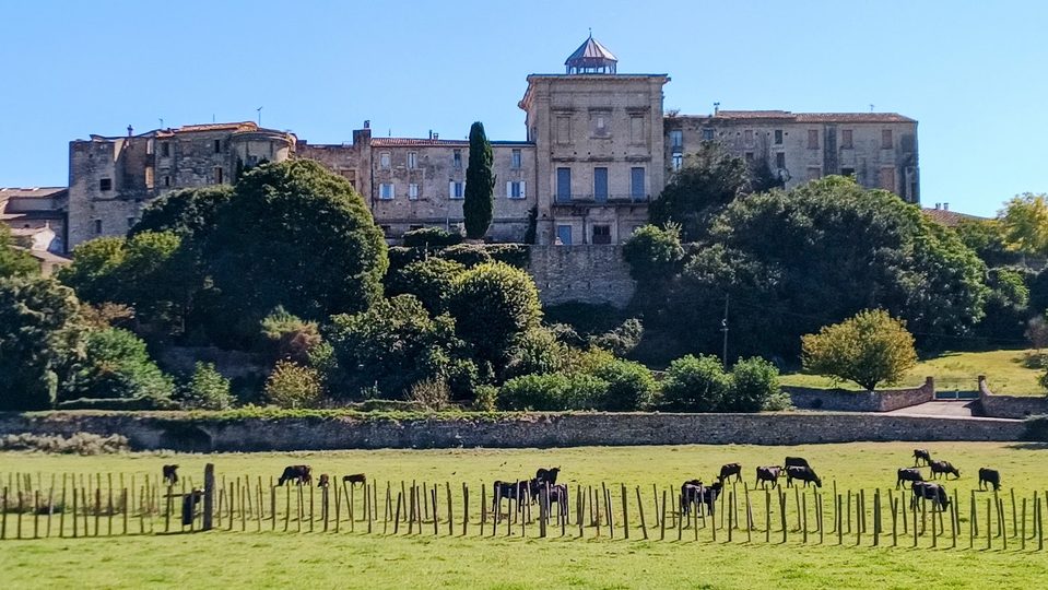 Promenade à cheval - La Roque d'Aubais