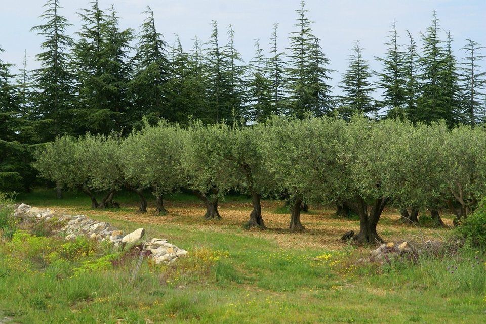 Promenade à cheval - Autour d'Aspères