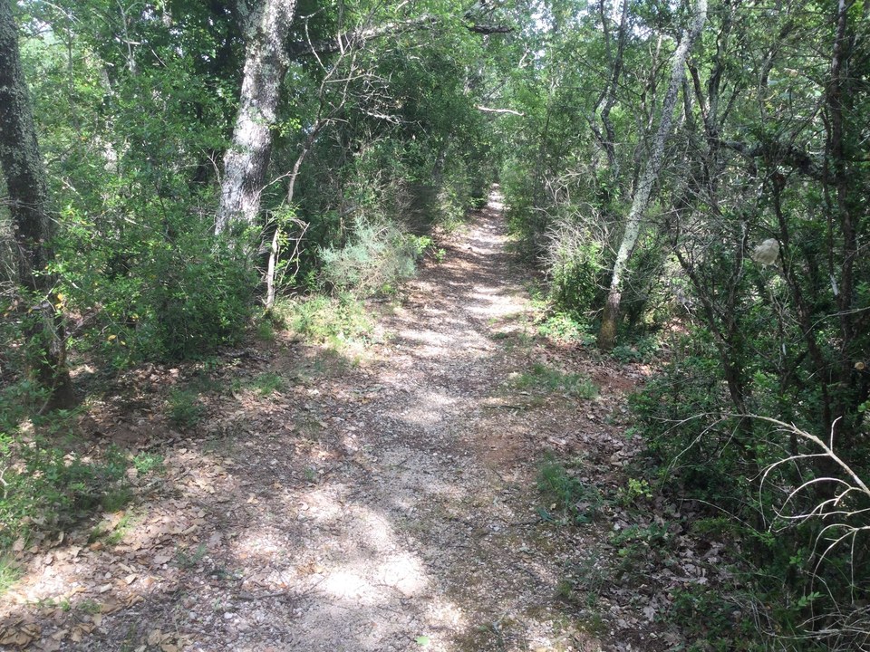Descente dans les Gorges à Plan de Quittard et Plage de Terris (Gravel)
