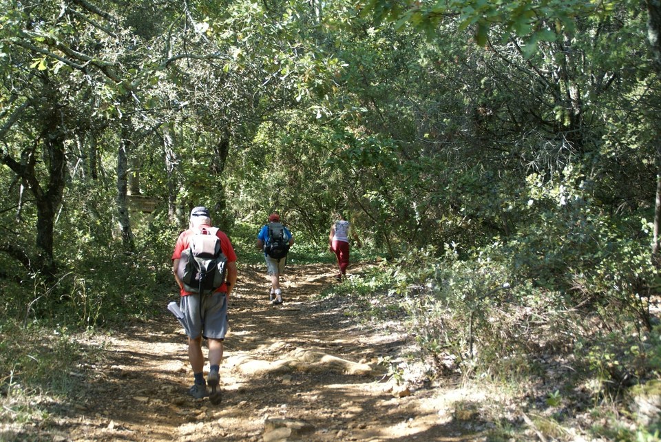 Rando en forêt