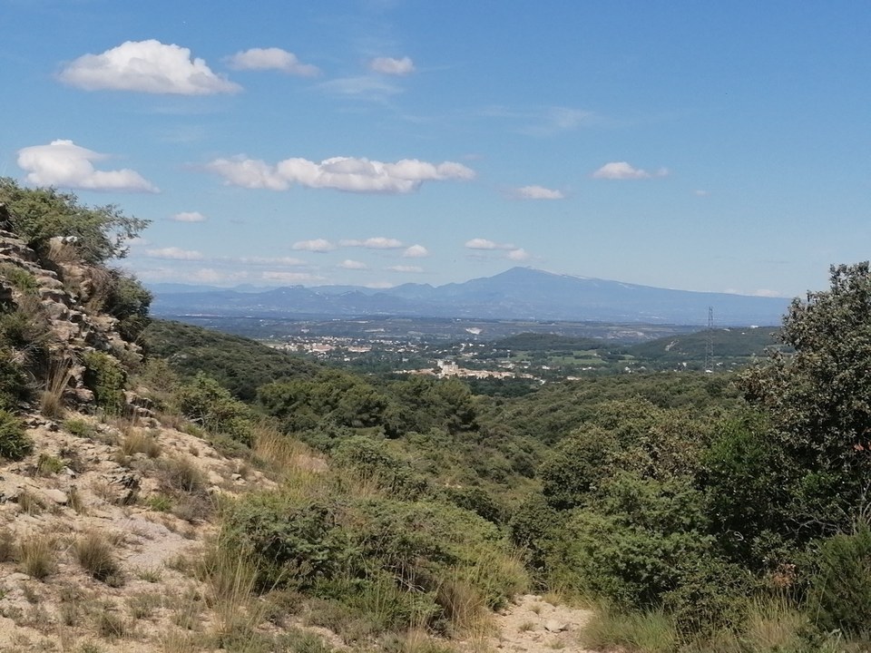 Exploration des bois communaux