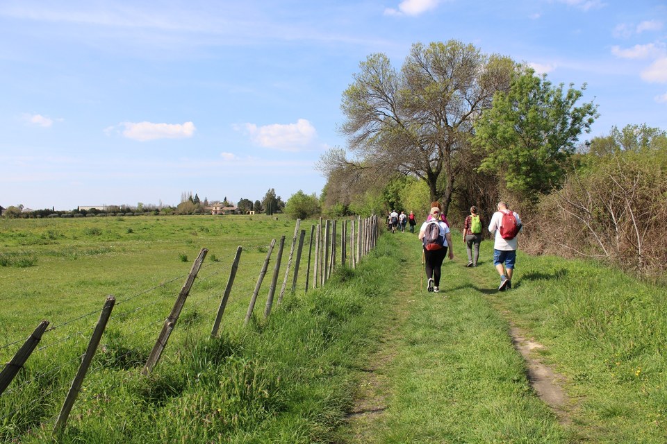 Oenorando Entre Costières et Camargue au printemps