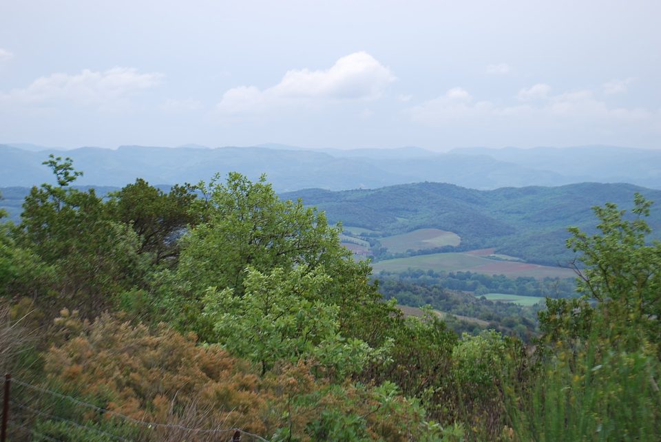 16-P-MONTCLAR-Le Circulaire (15)