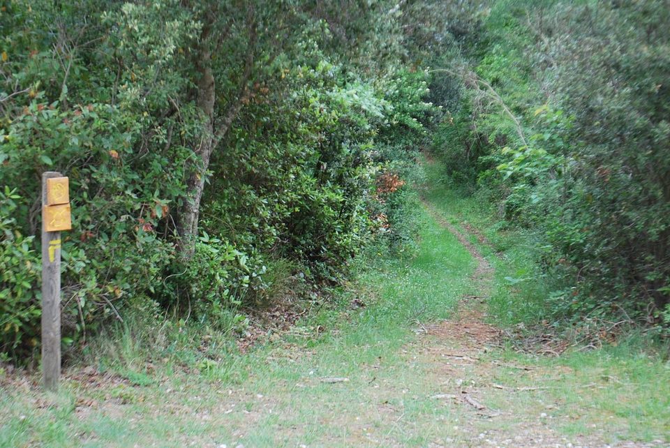 16-P-MONTCLAR-Le Circulaire (2)
