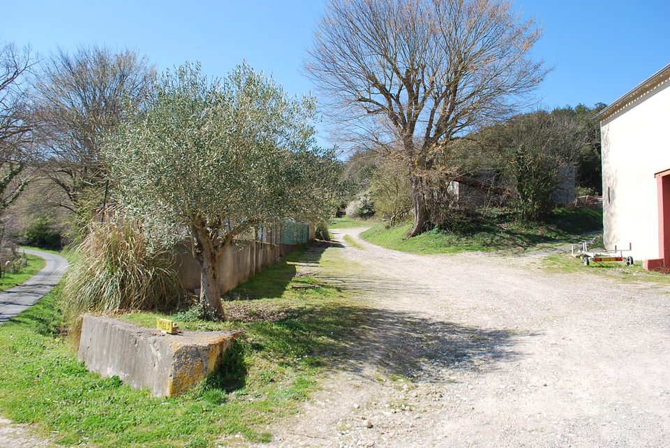 17-P-ROULLENS-L'Arbousier (1)