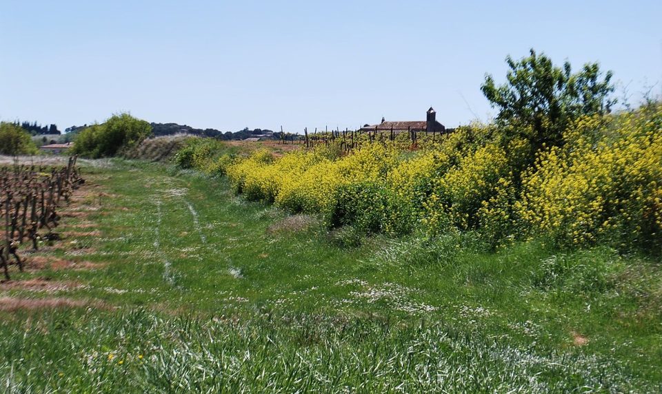 Circuit de la Malepère