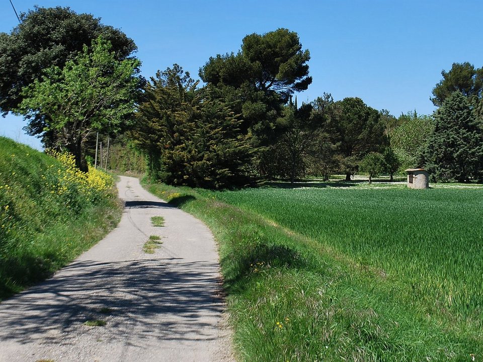 18-P-ALAIRAC-LAVALETTE-La Malepère (4)