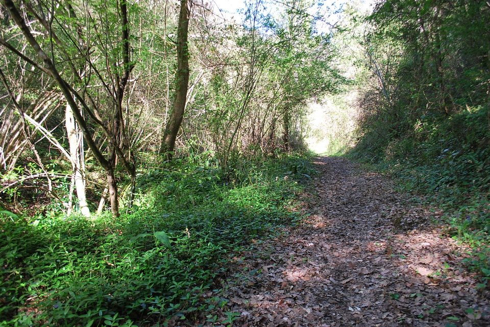 Sentier