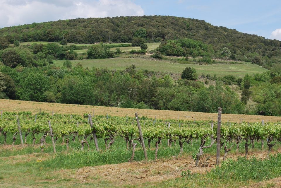 Sentier