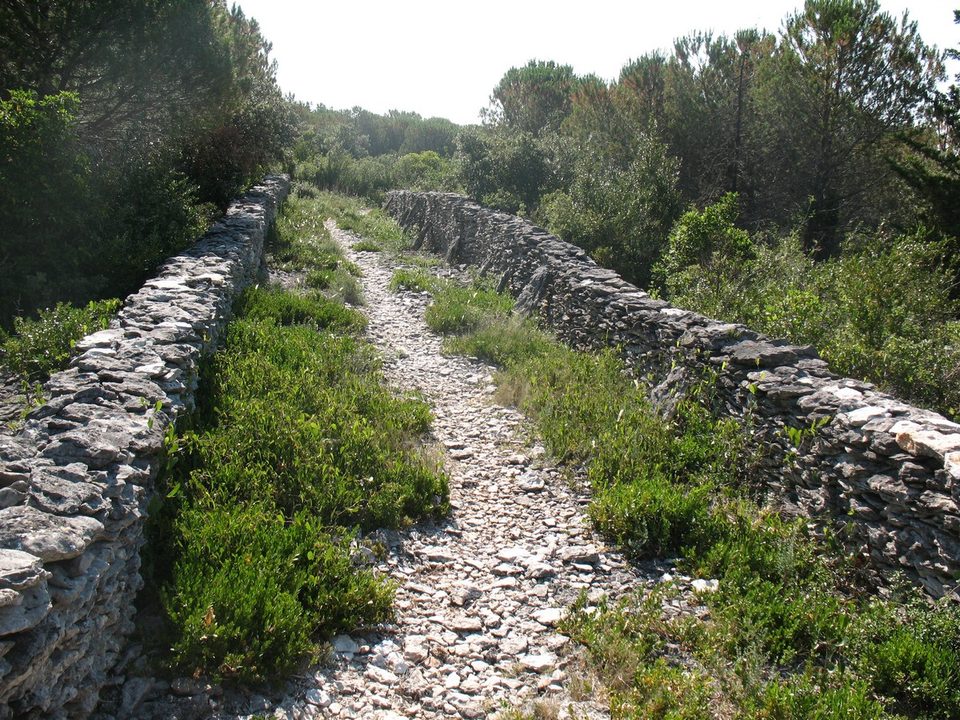 25.1-CONQUES SUR ORBIEL-La Plaine de la Cocalière (26)