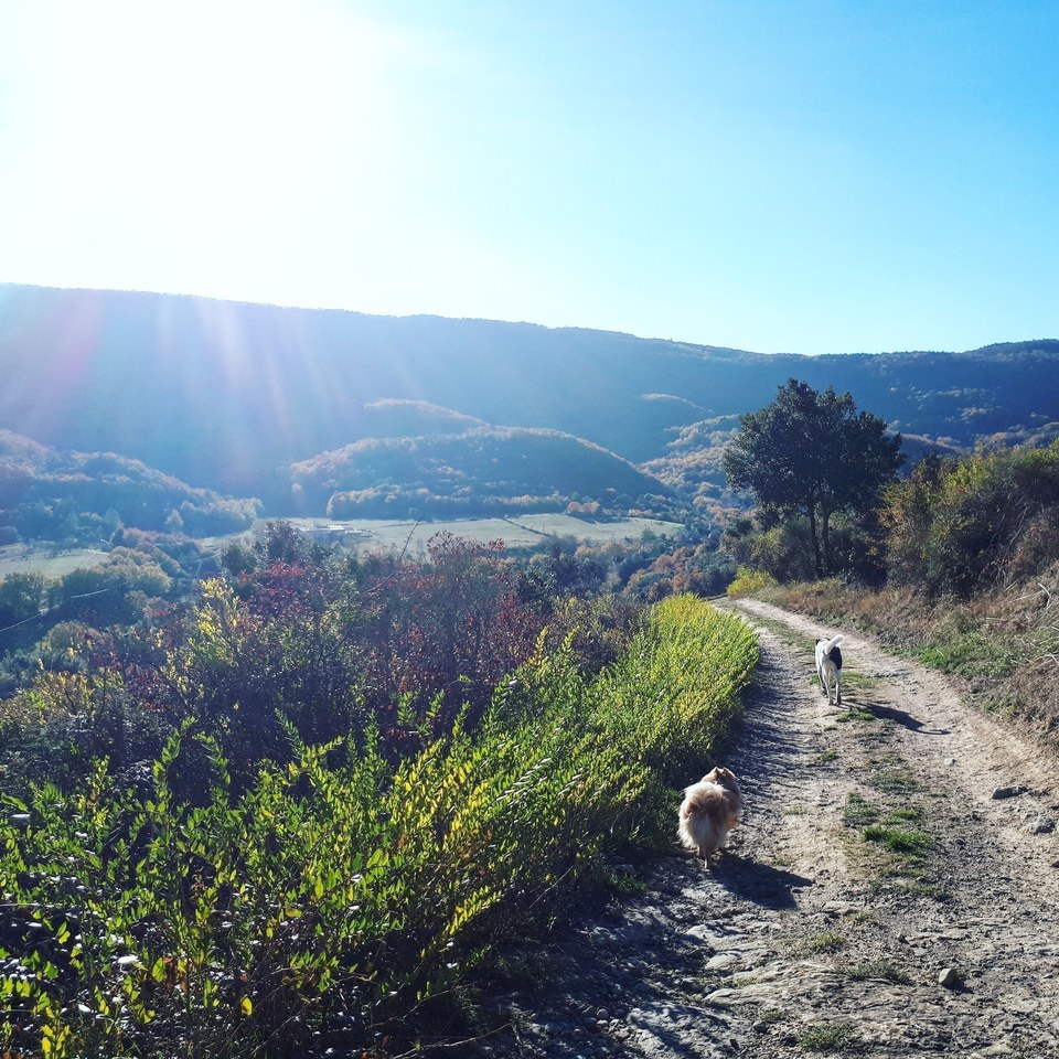 Le sentier en poésie