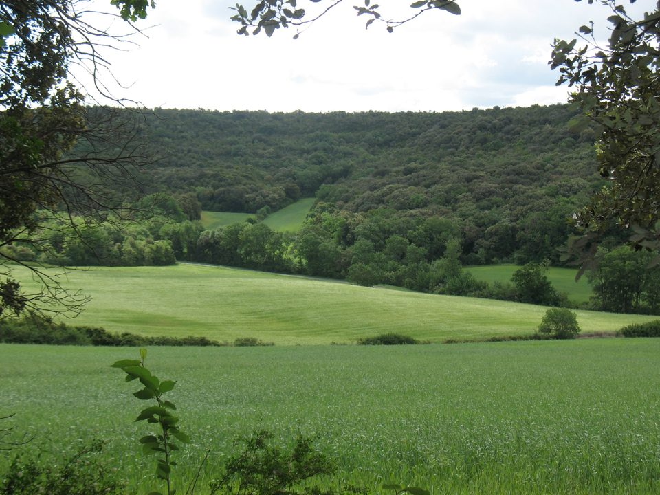 Panorama