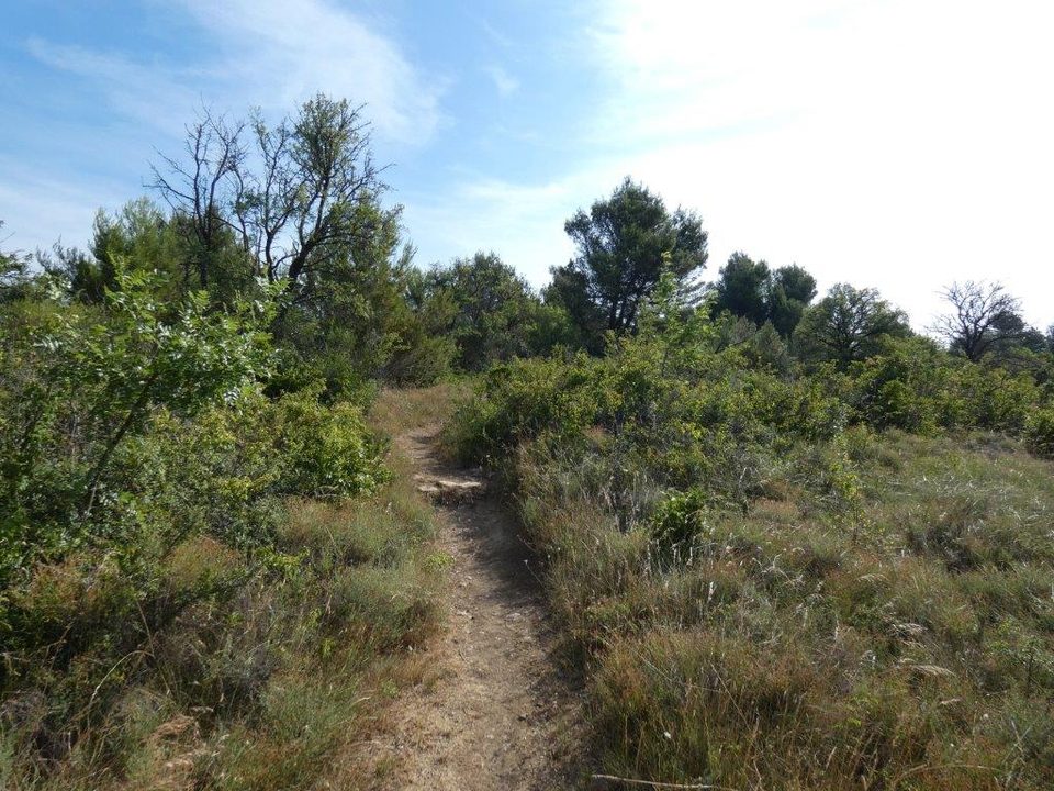 VILLEGAILHENC-Sur le plateau de la Bade (11)