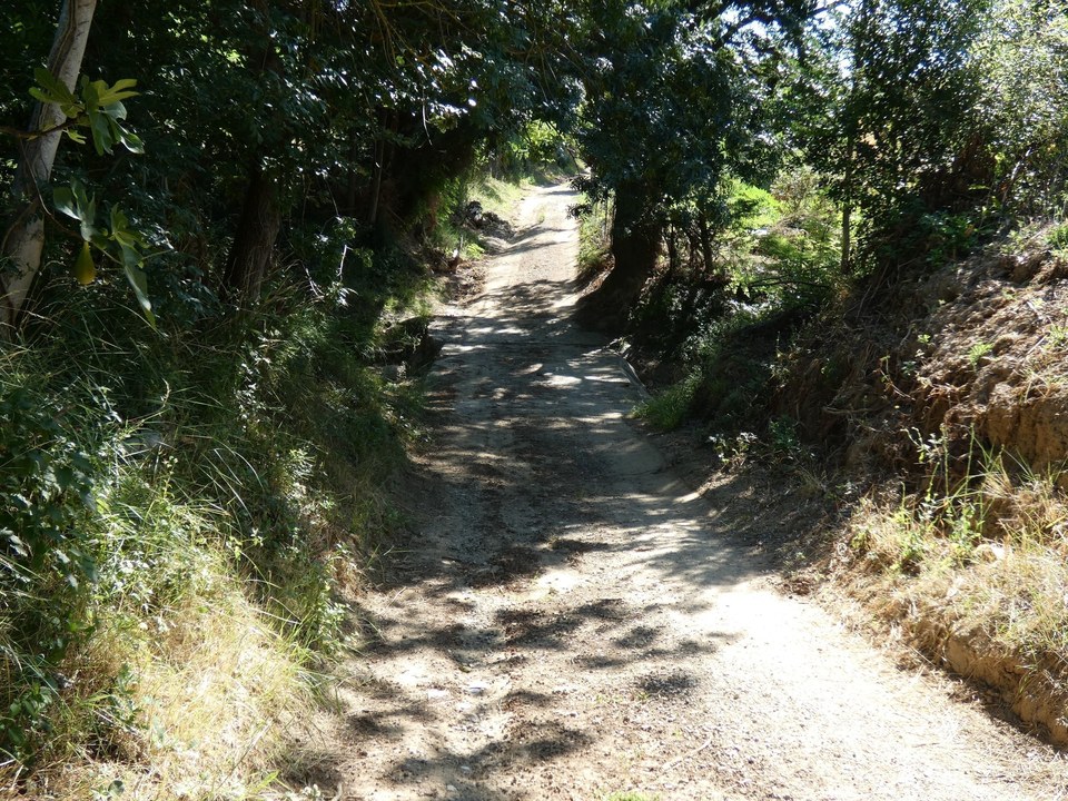 Sentier