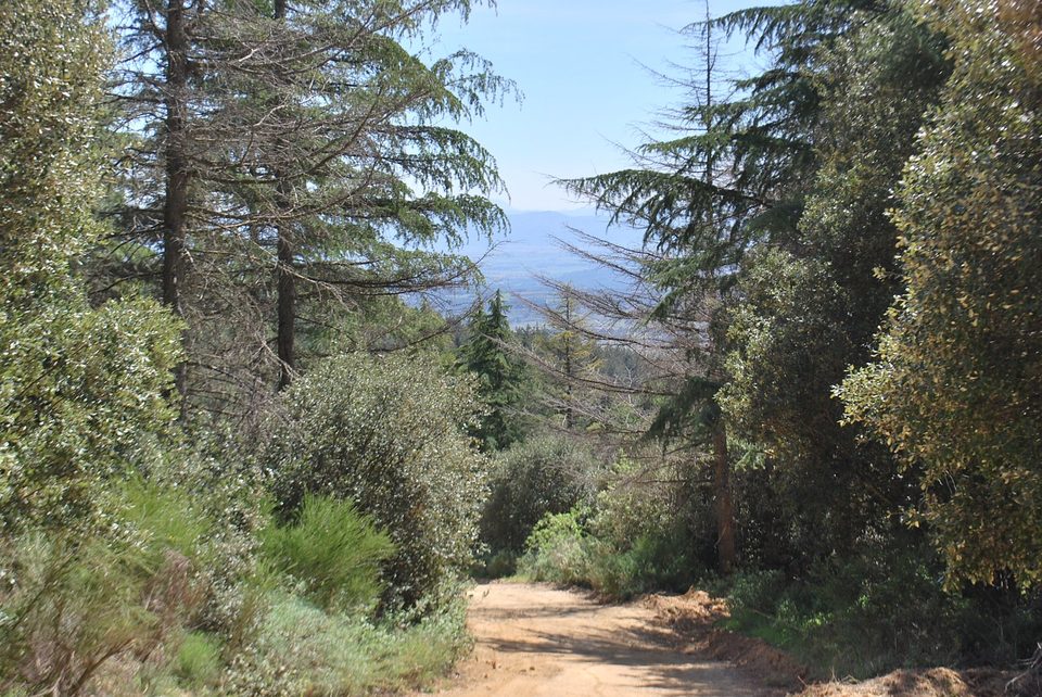P-Boucle de Villeneuve-Minervois (26)