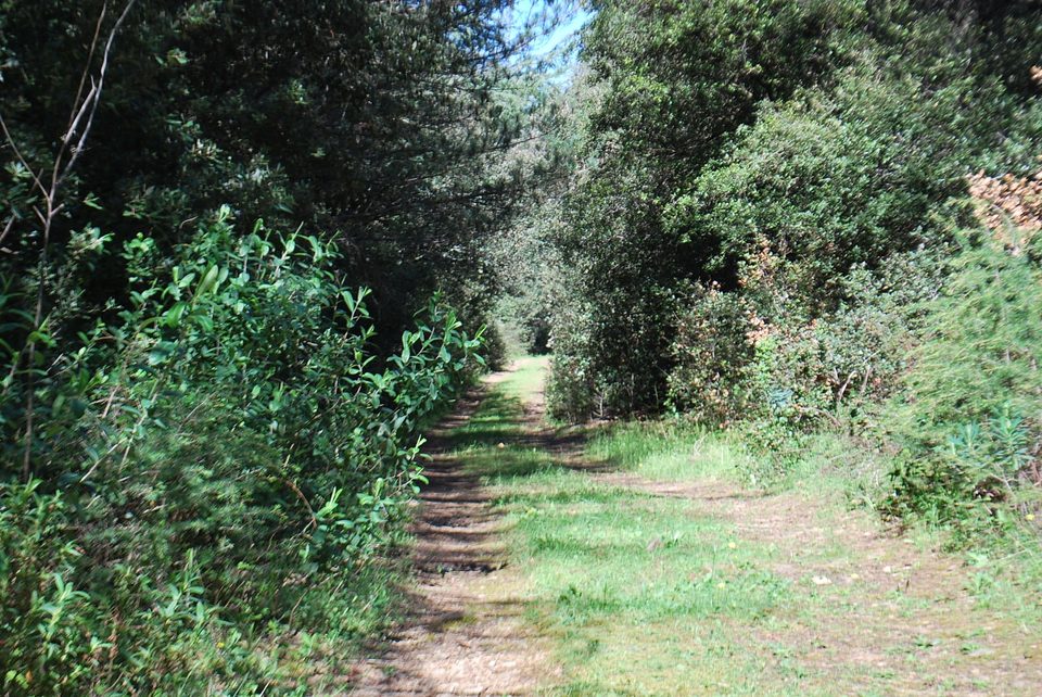 P-Boucle de Villeneuve-Minervois (1)