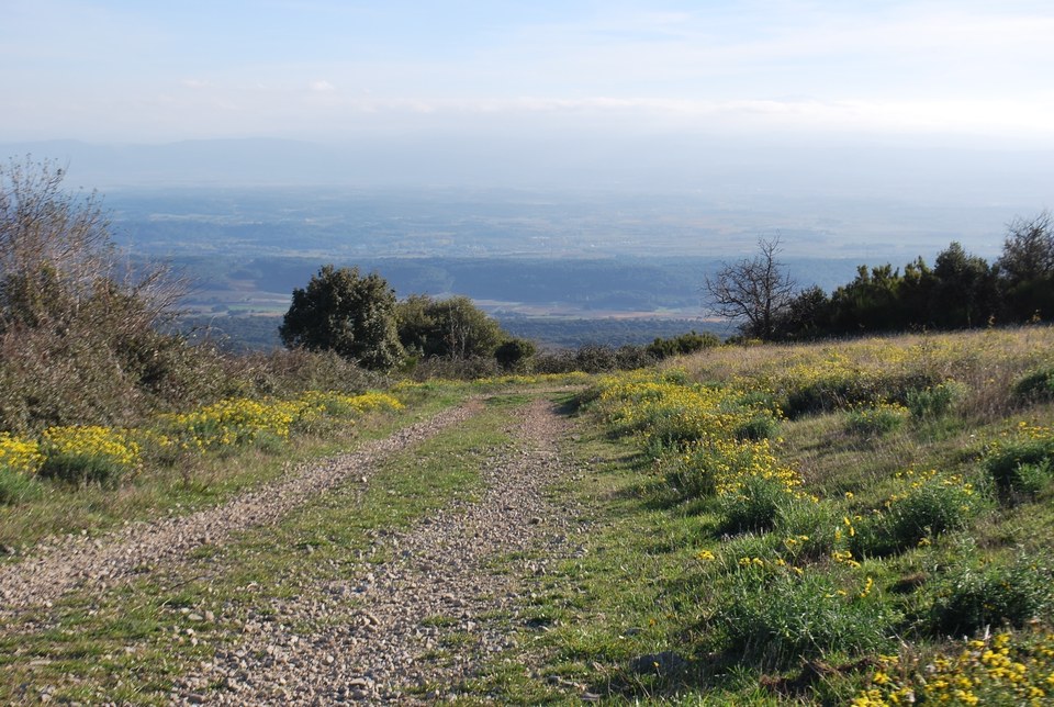 Sentier du Bosc Grand
