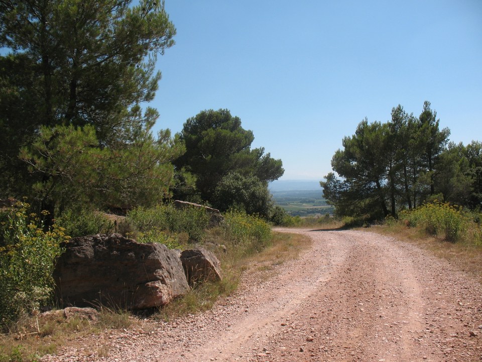 Sculpture et panorama