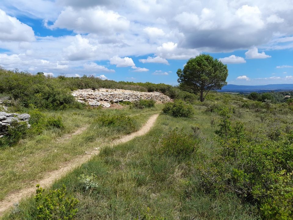 46-P-ARAGON-Pierre sèche et Garrigue (4)