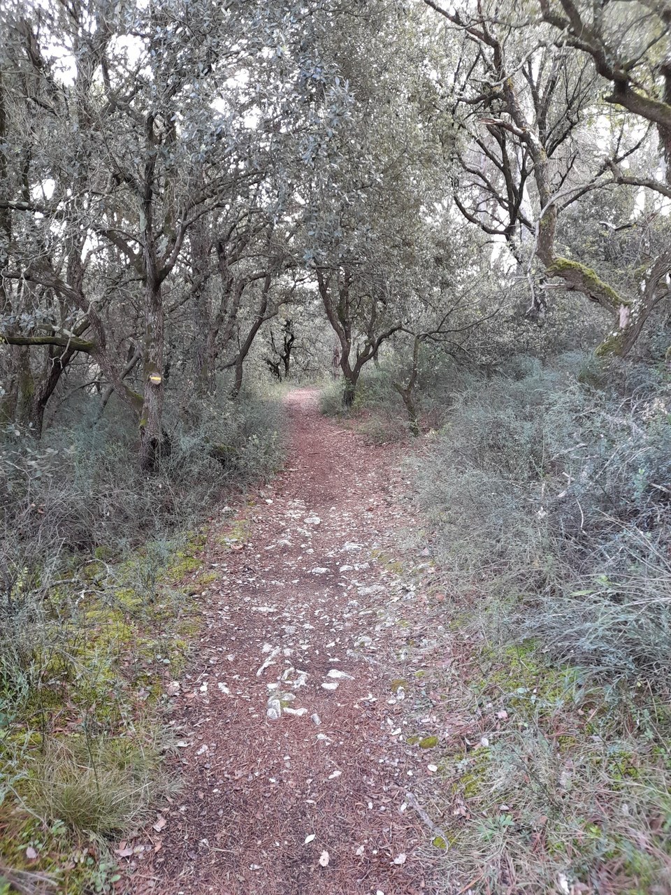 45-ARAGON-Le Vallon de la Valette (1)