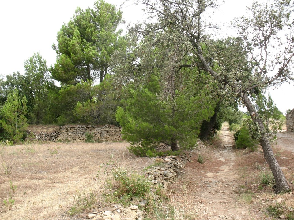 22.1 LAURE Mvois-Chemin de la Guinette (1)