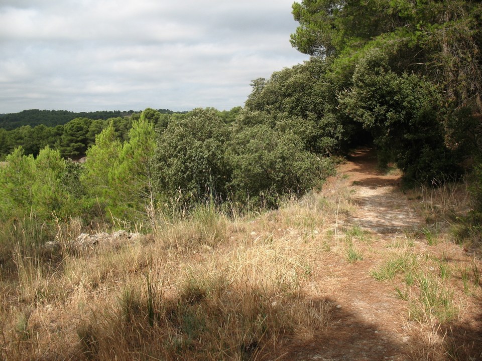 22.1 LAURE Mvois-Chemin de la Guinette (2)