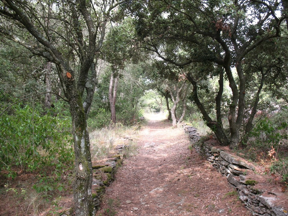 22.3-P-LAURE Mvois-Chemin de Rancoule (2)