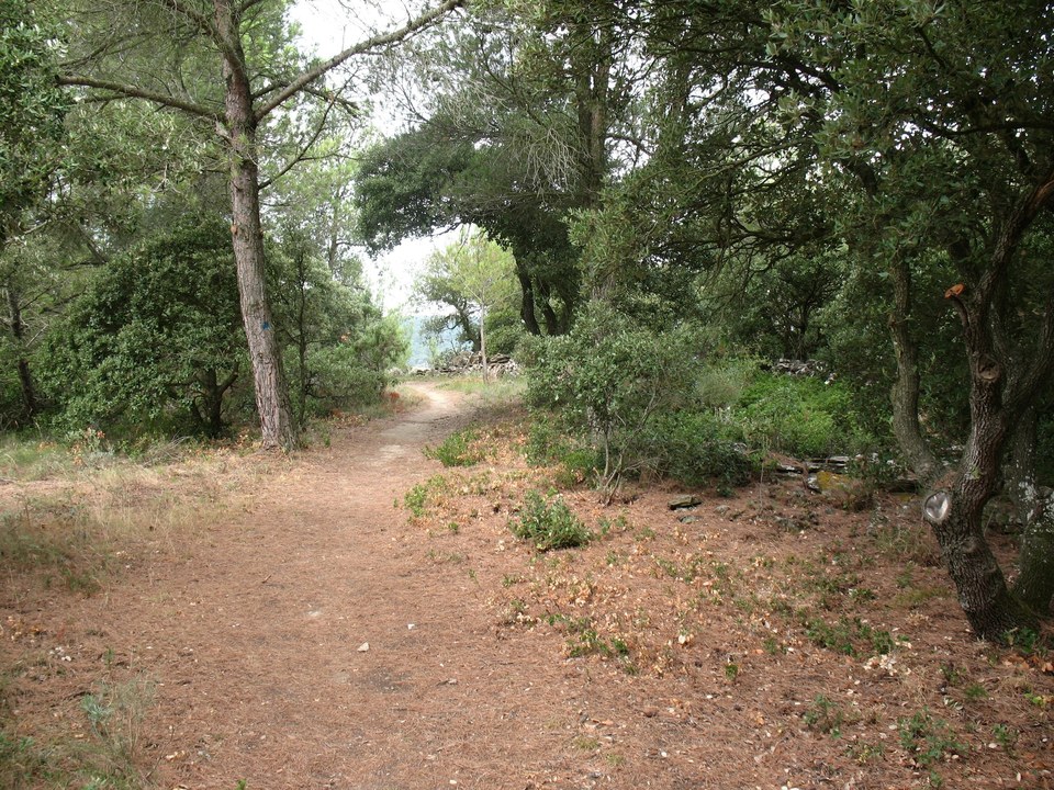 22.3-P-LAURE Mvois-Chemin de Rancoule (3)
